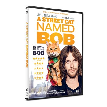 Un motan pe nume Bob / A Street Cat Named Bob