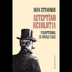 Asteptand revolutia - Ioan Stanomir