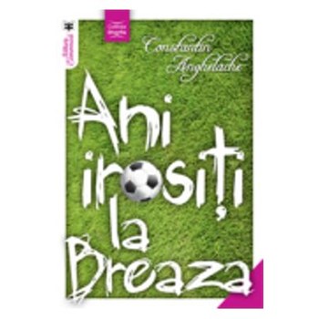 Anii irositi la Breaza - Constantin Anghelache