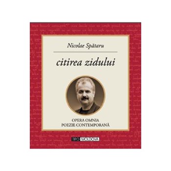 Citirea zidului - Nicolae Spataru