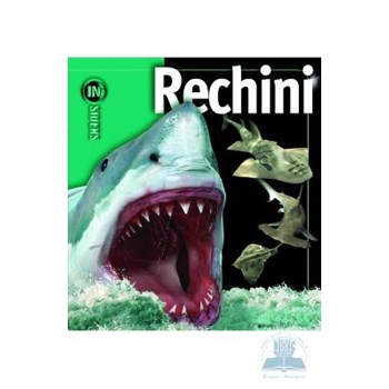 Rechini - Insiders