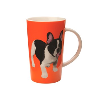 Cana Paws Conical, Christopher Vine, 420 ml, Orange