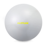 GYM BALL BASIC