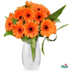 Buchet de 17 gerbera portocalii