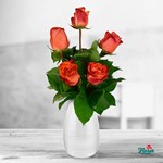 Buchet de 5 trandafiri portocalii