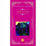 Lupul de stepa (rao Clasic) - Hermann Hesse, editura Rao
