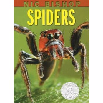 Nic Bishop Spiders, Hardcover