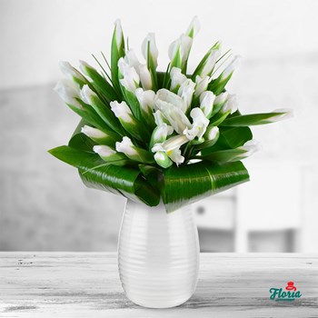 Buchet de 35 irisi albi