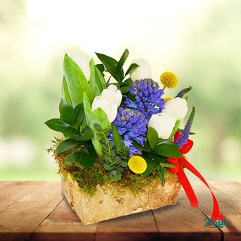 Aranjament floral - Aroma de primavara