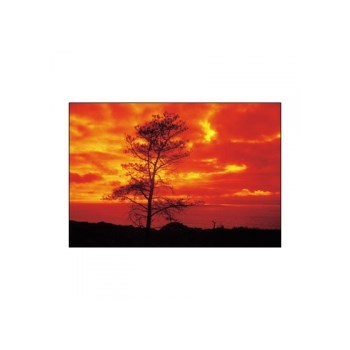 Cokin Snap Orange A002