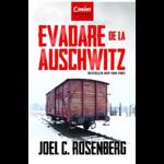 Evadare de la Auschwitz