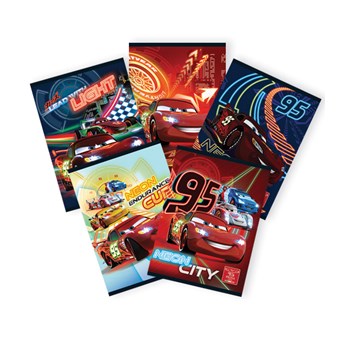 Caiet A5, 48 file, dictando, CARS