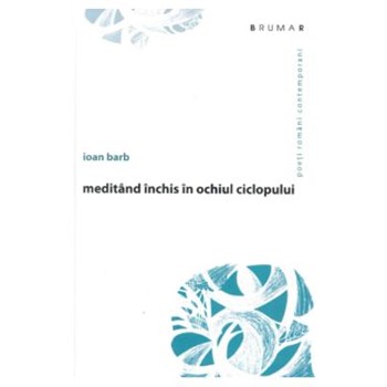 Meditand inchis in ochiul ciclopului - Ioan Barb