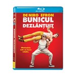 Bunicul dezlantuit (Blu Ray Disc) / Dirty Grandpa