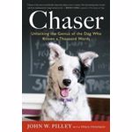 Chaser
