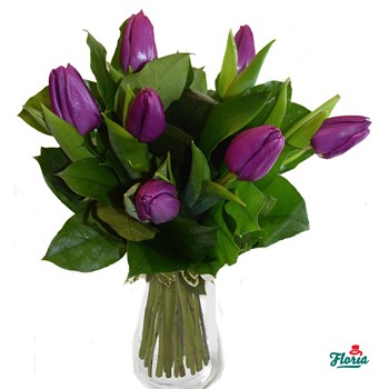 Buchet de 7 lalele mov