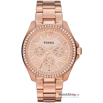 Ceas Fossil CECILE AM4483 Multifunction Rose