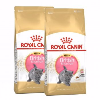 Royal Canin British Shorthair Kitten, pachet economic hrană uscată pisici junior, 2kg x 2