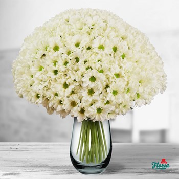 Buchet de 45 crizanteme albe