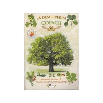 Sa descoperim copacii