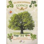 Sa descoperim copacii