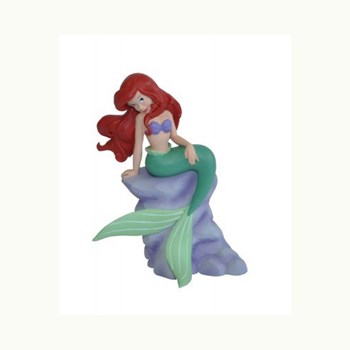 Ariel pe stanca