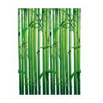 Fototapet Bamboo - 183x254 cm - WG