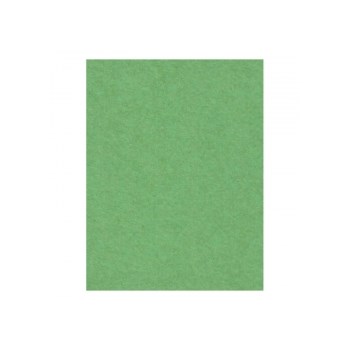 Creativity Backgrounds Apple Green 31- Fundal carton 2.72 x 11m
