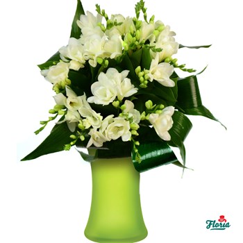 Buchet de 19 frezii albe