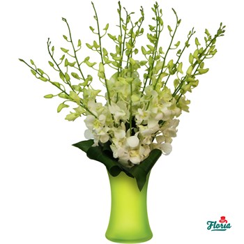 Buchet de 19 orhidee dendrobium albe