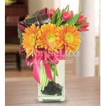 Buchet lalele si gerbera