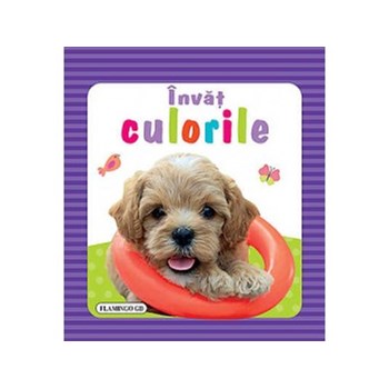Invat culorile