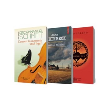 Pachet Literatura 3