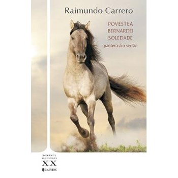Povestea Bernardei Soledade - Raimundo Carrero