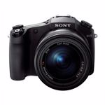 Aparat Foto Sony DSC-RX10 (Negru)