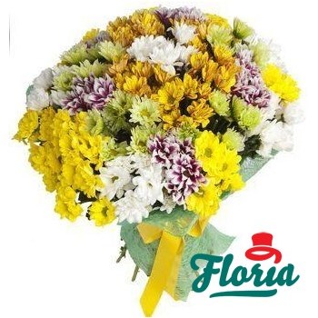 Buchet de 35 crizanteme multicolore