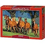 Puzzle Cai alergand, 1500 piese