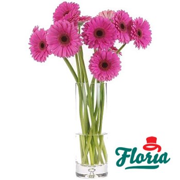 Buchet de 23 gerbera roz