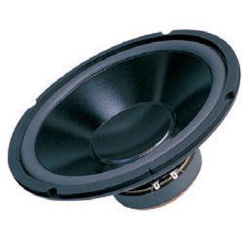Difuzor 10 inch 25 cm 8 ohm 110 w dibeisi g1001-8