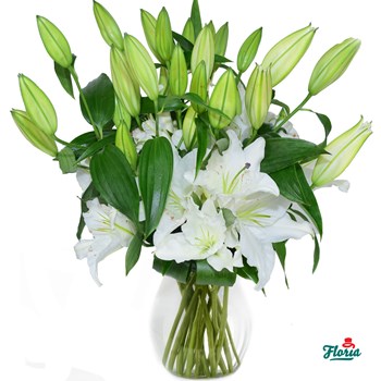 Buchet de 11 crini imperiali albi