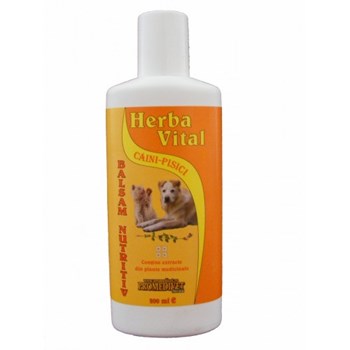 Balsam Herba Vital