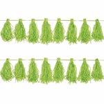Ghirlanda Tassel 3M Verde Amscan AM220074-53-55