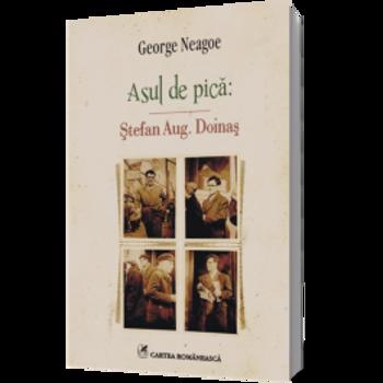 Asul de pica: Stefan Aug. Doinas - George Neagoe