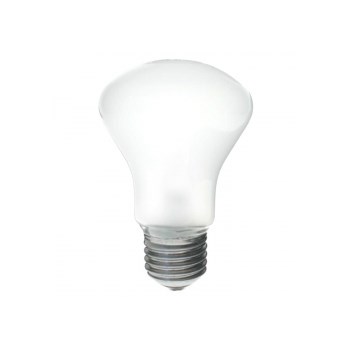 Elinchrom #23002 Modelling Lamp 100W D-Lite/BXRI