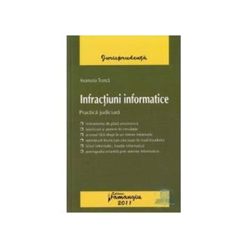 Infractiuni informatice. Practica judiciara