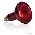Lampa Heat Glo - 150 W Pt2146