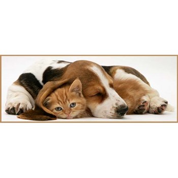 Puzzle cei mai buni prieteni, 1000 piese, RAVENSBURGER Puzzle Adulti
