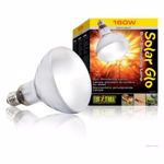 Bec Exo Terra Solar Glo - 160 W Pt2193