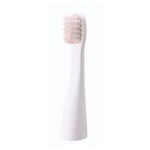 Panasonic Cap de rezerva pentru EW-DS11 ( 2buc/set )