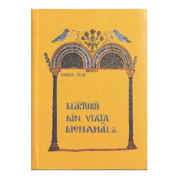 Marturii din viata monahala cartonat - Gheron Iosif